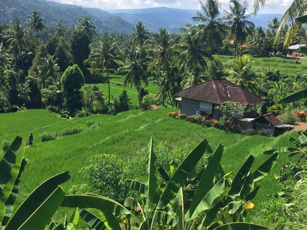 An diesen und viele weitere traumhafte Orte entführt Sie unser Reisebericht Bali.